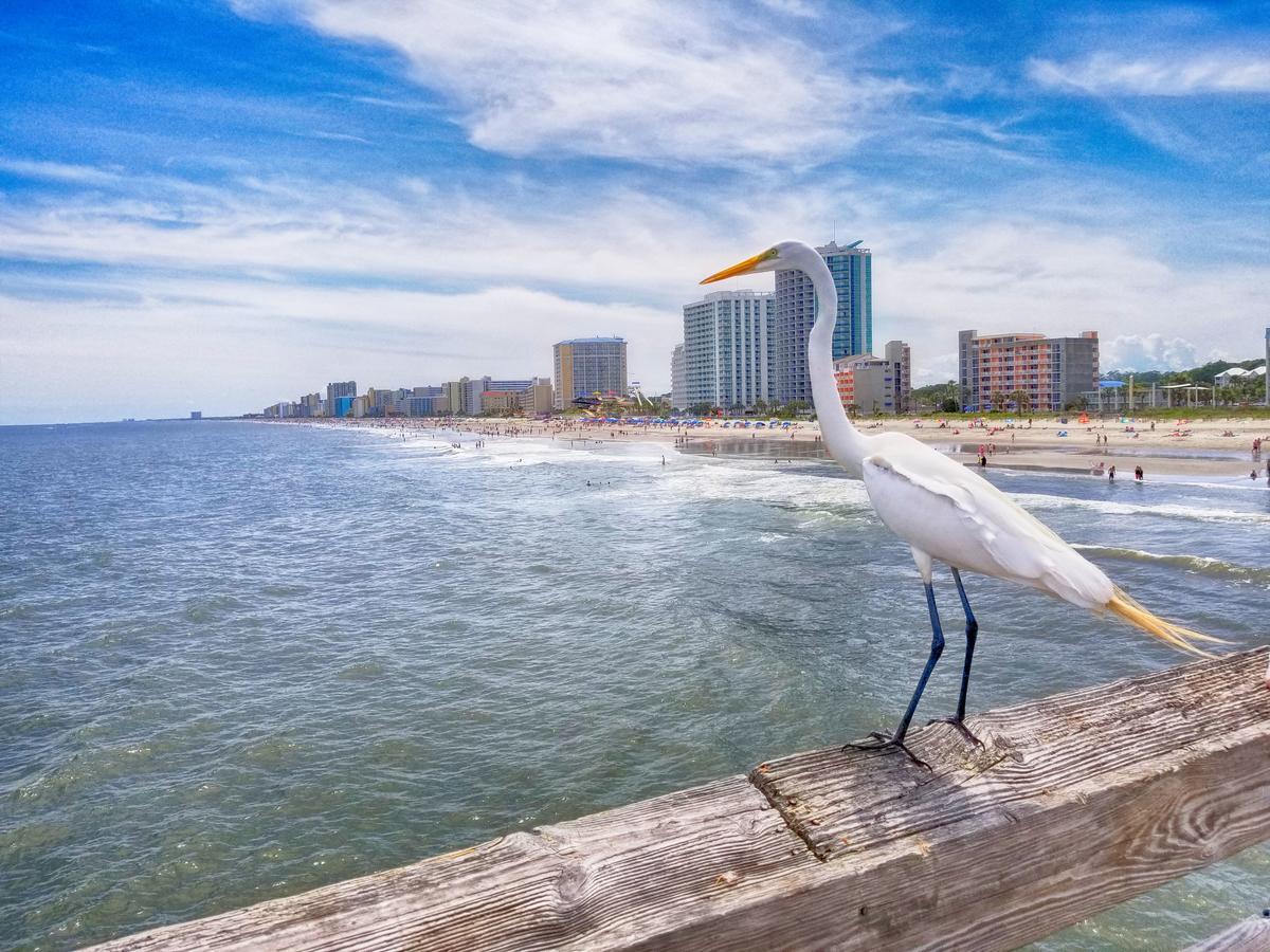 Ocean Front 3Rd Floor 1Br Daire Myrtle Beach Dış mekan fotoğraf